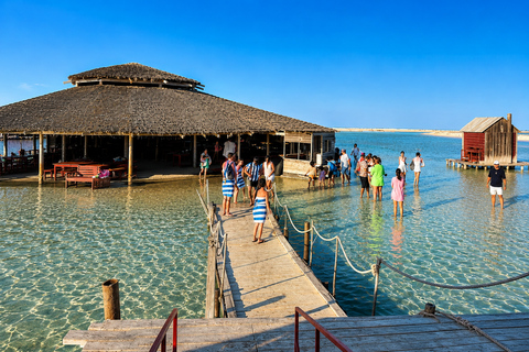 From Djerba: Cruise tour to Flamingo Island