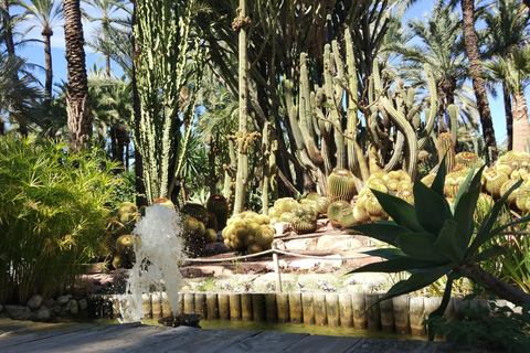 Depuis Alicante : visite du jardin botanique national