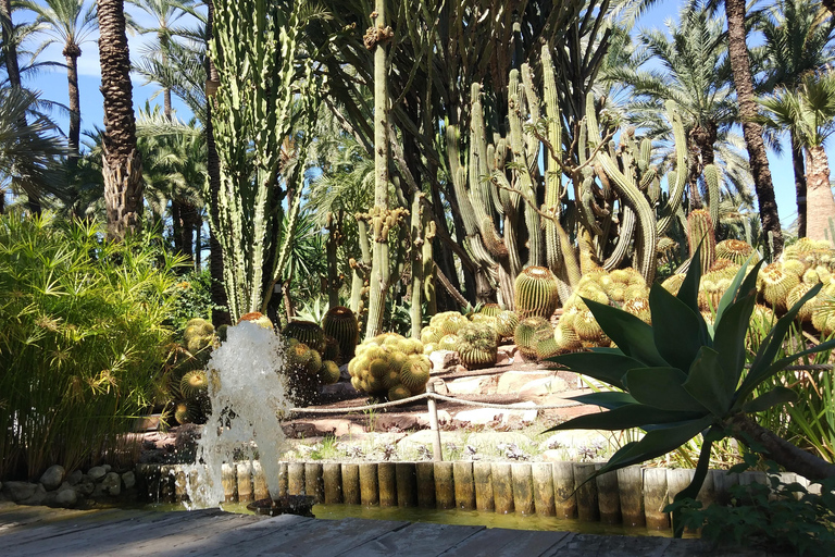 Ab Alicante: Tour zum Nationalen Botanischen Garten