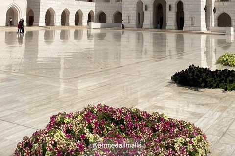 Oman: Wahiba Sands, Wadi Bani Khalid, and Desert Tour