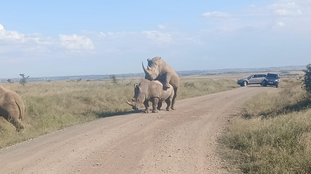 samburu and olpejeta national parks four days from nairobi