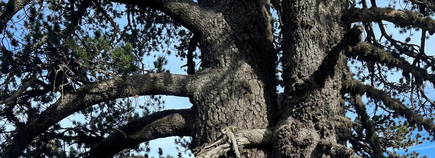 Aventure tout-terrain et randonnée de Korçë à Valamara