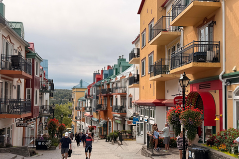 Mont-Tremblant: Private Day Trip with Treetop Walk & Gondola