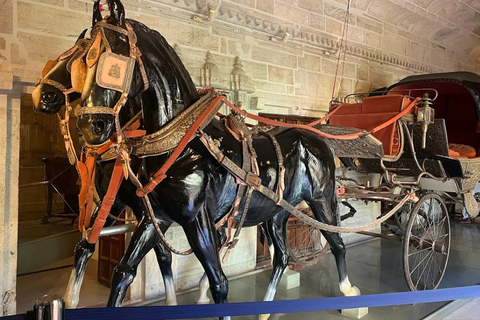 Udaipur: Full Day City Sightseeing Guided Tour Udaipur: Full Day City Guided Tour with Meeting Point