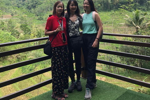 Yogyakarta: Borobudur Climb Up & Selogriyo Rice Terrace Tour