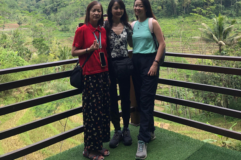 Yogyakarta: Borobudur Climb Up & Selogriyo Rice Terrace Tour