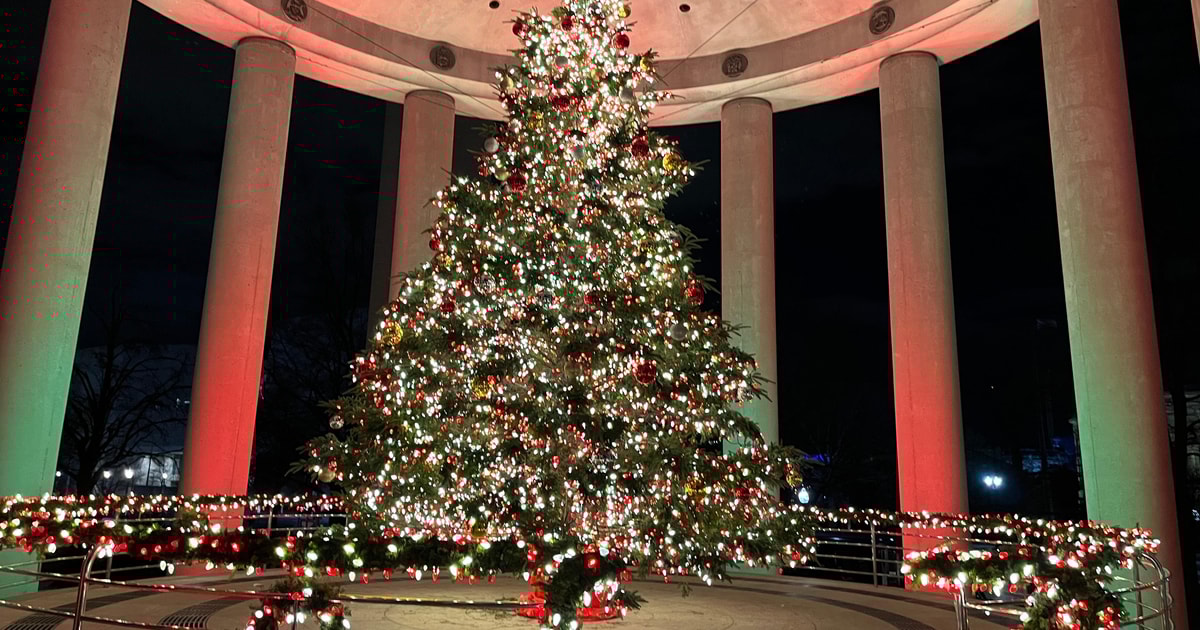 Downtown DC Holiday Lights Bus Tour GetYourGuide