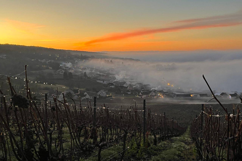 From Paris: Champagne Sunset Tour with Dinner & Tastings Private tour