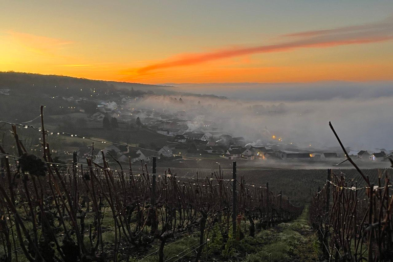 From Paris: Champagne Sunset Tour with Dinner & Tastings Private tour