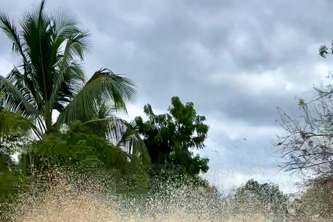 Buggy o zachodzie słońca — cały dzień — mała grupaBuggy o zachodzie słońca – cały dzień – mała grupa