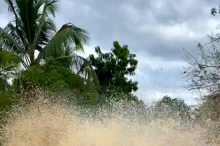 Buggy o zachodzie słońca — cały dzień — mała grupaBuggy o zachodzie słońca – cały dzień – mała grupa