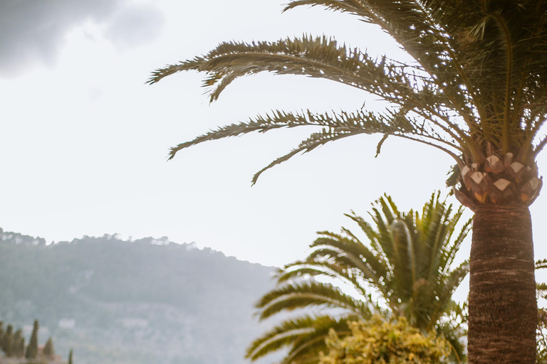 جلسة تصوير احترافية خاصة أثناء الإجازة في مايوركا1 ساعة تصوير فوتوغرافي في مايوركا