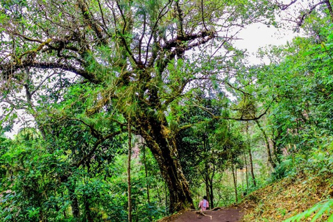 Historic, Natural Wonders: Zaina Falls & Mau Mau Cave Hike