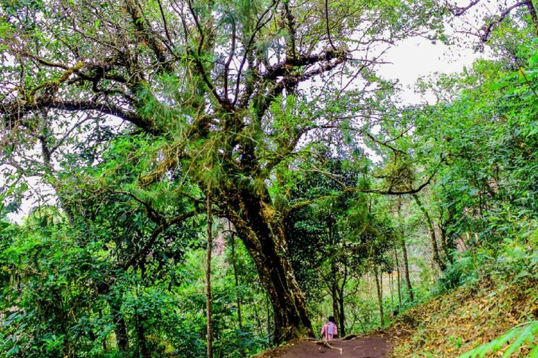 Historic, Natural Wonders: Zaina Falls & Mau Mau Cave Hike