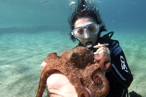 Heraklion: Lección de buceo para principiantes con instructor PADIInmersión para principiantes en la bahía de Agia pelagia - Sin traslado