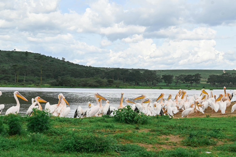 Nairobi: 5-daagse privé-safari naar Masai Mara, Lake Nakuru