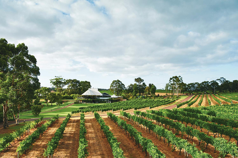 From Perth: Full-Day Margaret River Wine Tastings & Lunch