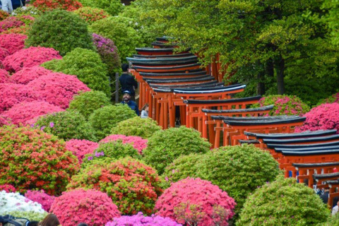 Timeless Tokyo Yanaka: Hidden Flavors & Old Tokyo Spirit