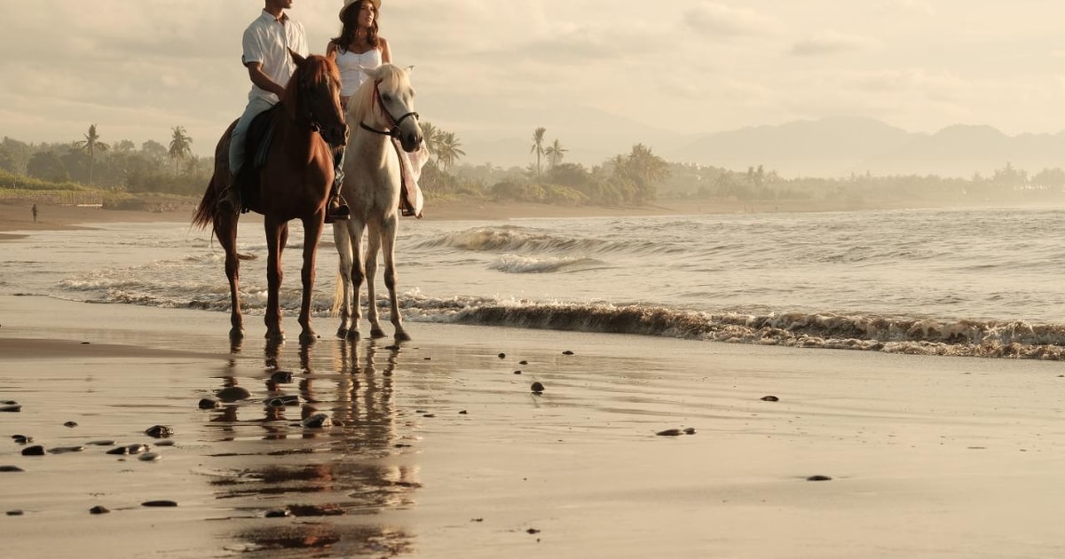 Bali Fantastic Horse Riding All-Inclusive | GetYourGuide