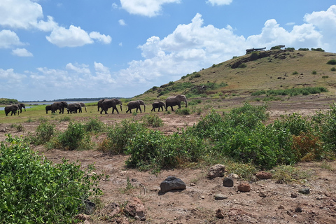 Nairobi: Amboseli National Park Tagestour mit PirschfahrtenSolo Nairobi: Amboseli National Park Tagestour