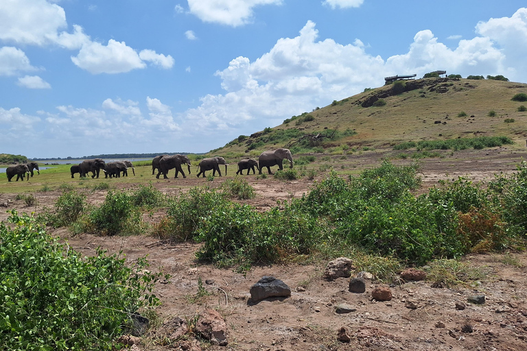 Nairobi: Amboseli National Park Tagestour mit PirschfahrtenSolo Nairobi: Amboseli National Park Tagestour