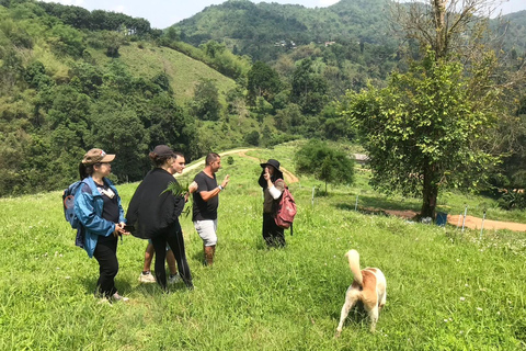 Chiang Rai Trek: 4 Hilltribes Villages & Waterfall Only Walk