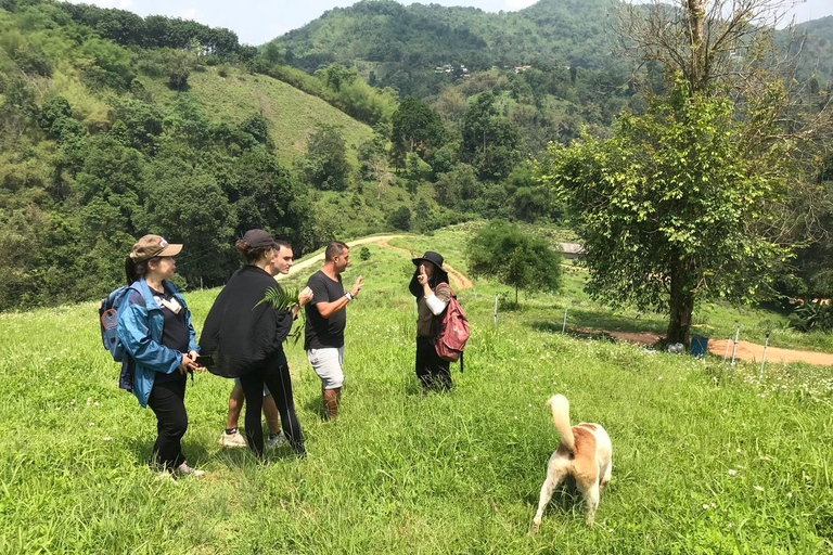 Chiang Rai Trek: 4 Hilltribes Villages & Waterfall Only Walk