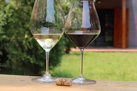 基加利：品酒体验全球葡萄品种深度解析