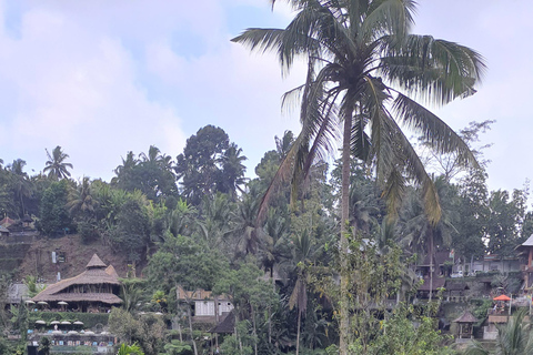 Tanah lot, tempio del lago Beratan, terrazza di riso di JatiluwihTour di Bedugul