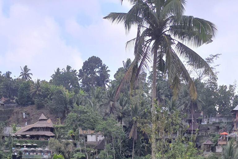 Tanah lot, tempio del lago Beratan, terrazza di riso di JatiluwihTour di Bedugul