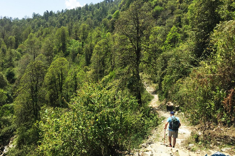 Pokhara: 3-dniowa łatwa wycieczka piesza do Annapurna Himalayas Foothill