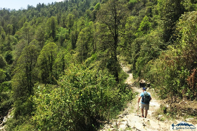 Pokhara: 3-dniowa łatwa wycieczka piesza do Annapurna Himalayas Foothill