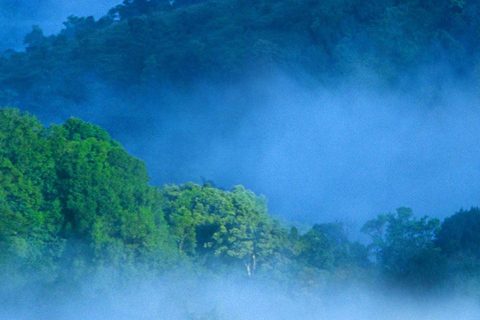 Pernottamento nella stazione collinare di Munnar con le bellezze del Kerala