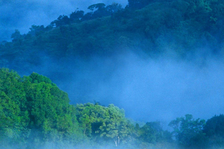 Overnachting in Munnar Hill Station Tour met schoonheid van Kerala