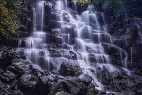 Bali Ubud Tour Monkey Forest, Waterfall, Temple & Rice Field Private Tour With Entrance Fee Tickets