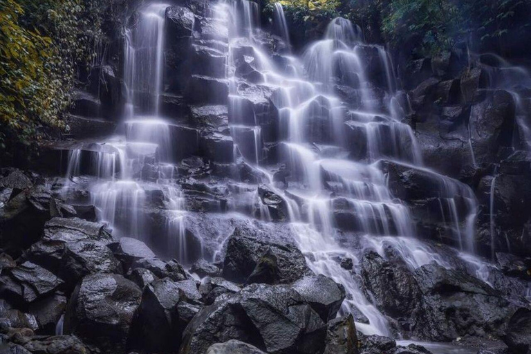 Bali Ubud Tour Monkey Forest, Waterfall, Temple & Rice Field Private Tour With Entrance Fee Tickets