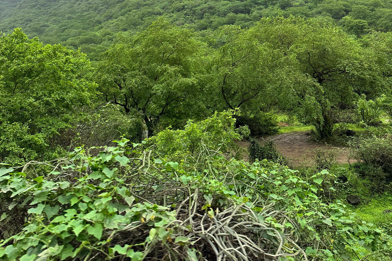 Ultimate Salalah - 5-in-1 Adventure in Salalah