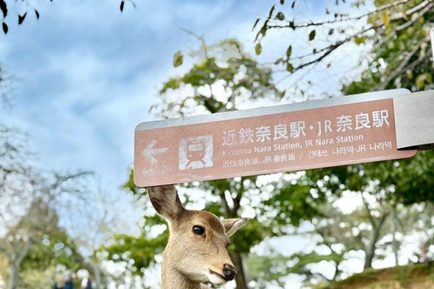 Nara Gardens and Temples Private Guided Tour with Transport