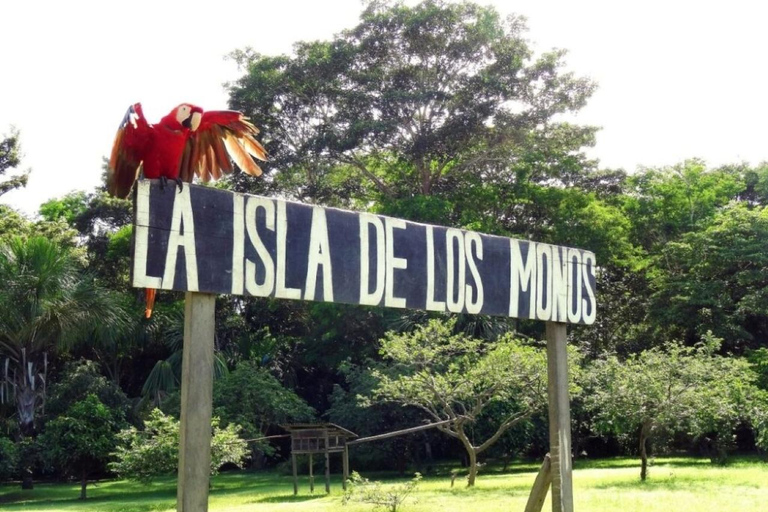 Excursión de día completo a la isla de los monos