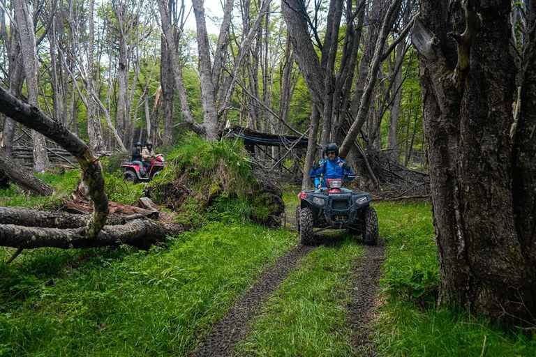 Ushuaia: Adventure and Fueguina Fauna with Animal Encounter of Your Choice Ushuaia: Adventure and Fueguina Fauna with Animal Encounter - Huskie Walk-