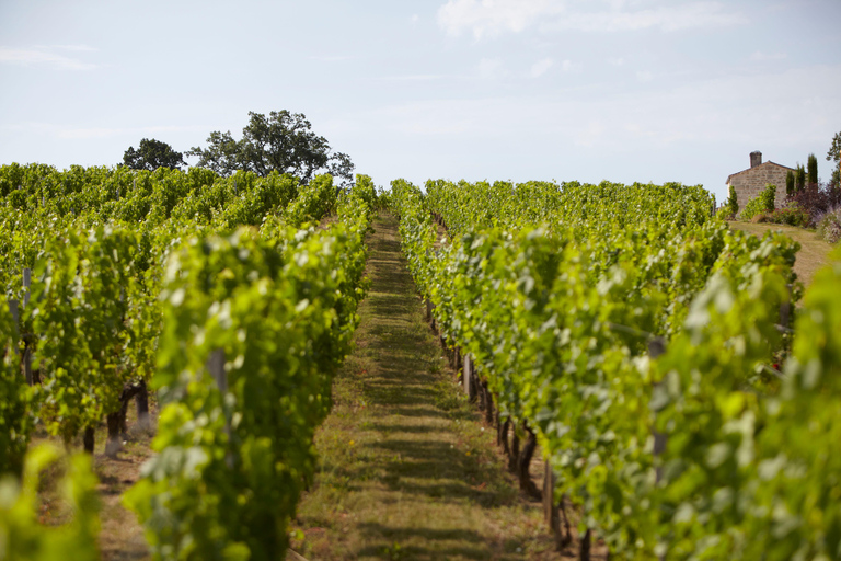 The Legend of N°5 Perfume, Vineyard&Red Carpet Tour Private Tour: The Legend of N°5 Perfume, Vineyard&Red Carpet