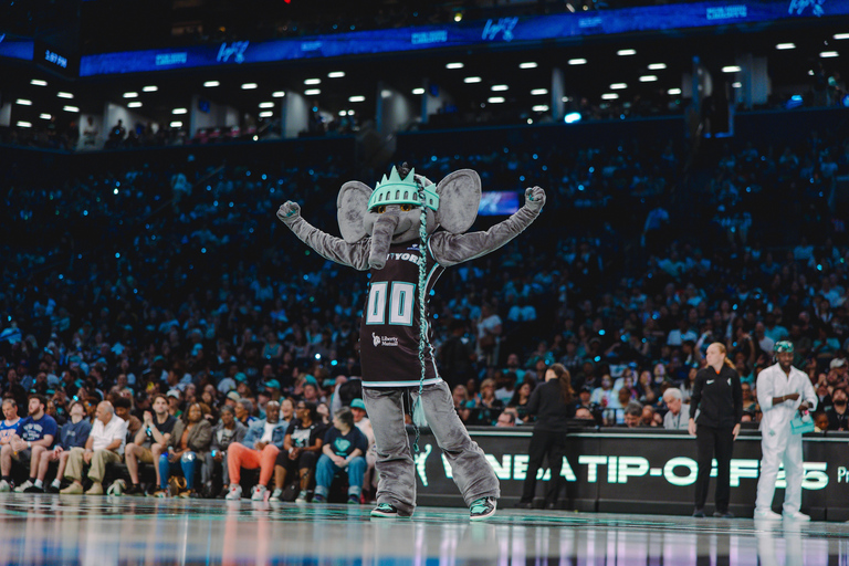 NYC: New York Liberty WNBA Game Ticket at Barclays Center 200 Level Seats: Liberty WNBA Game Ticket at Barclays Center