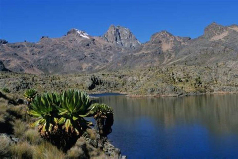 Nairobi: Mount Kenya Day Hike with Lunch