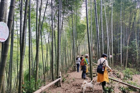 Shanghai: Hangzhou Tofu Ancient Trail Hiking by Train