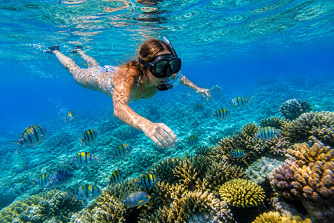 Sal: Snorkeling Experience with Local Guide