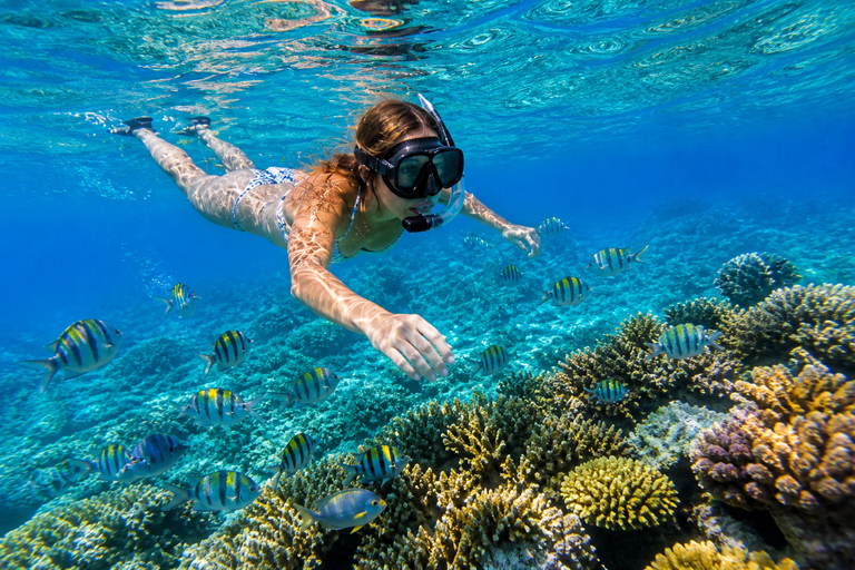 Sal: Snorkeling Experience with Local Guide