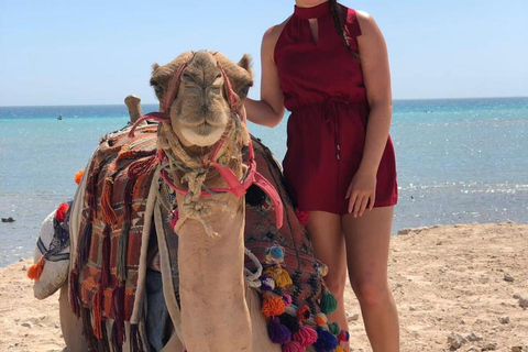 Hurghada: Camel Ride Vibes -The Ultimate Desert Experience 1-Hour Desert & Beach Camel Ride with Transfers