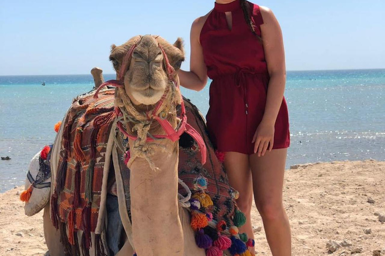 Hurghada: Camel Ride Vibes -The Ultimate Desert Experience 1-Hour Desert & Beach Camel Ride with Transfers