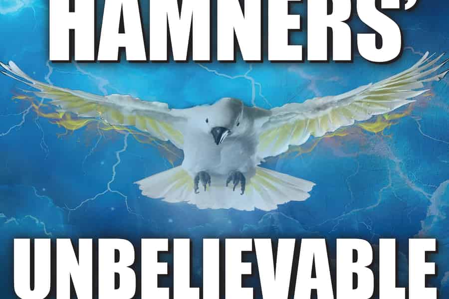 Branson: Hamners' All-American-Silvesterfeier. Foto: GetYourGuide