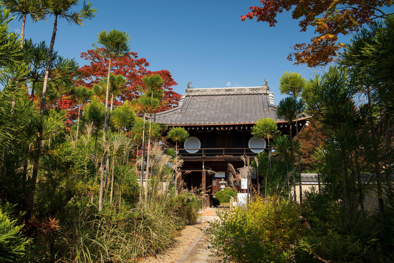 Kyoto: Private Full-Day Customizable World Heritage Tour Private Tour in Spanish (Northern Kyoto)